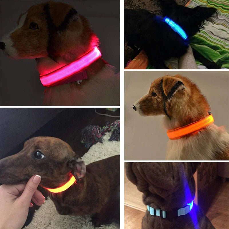 LED collar fits all dog breeds: small, medium, and large