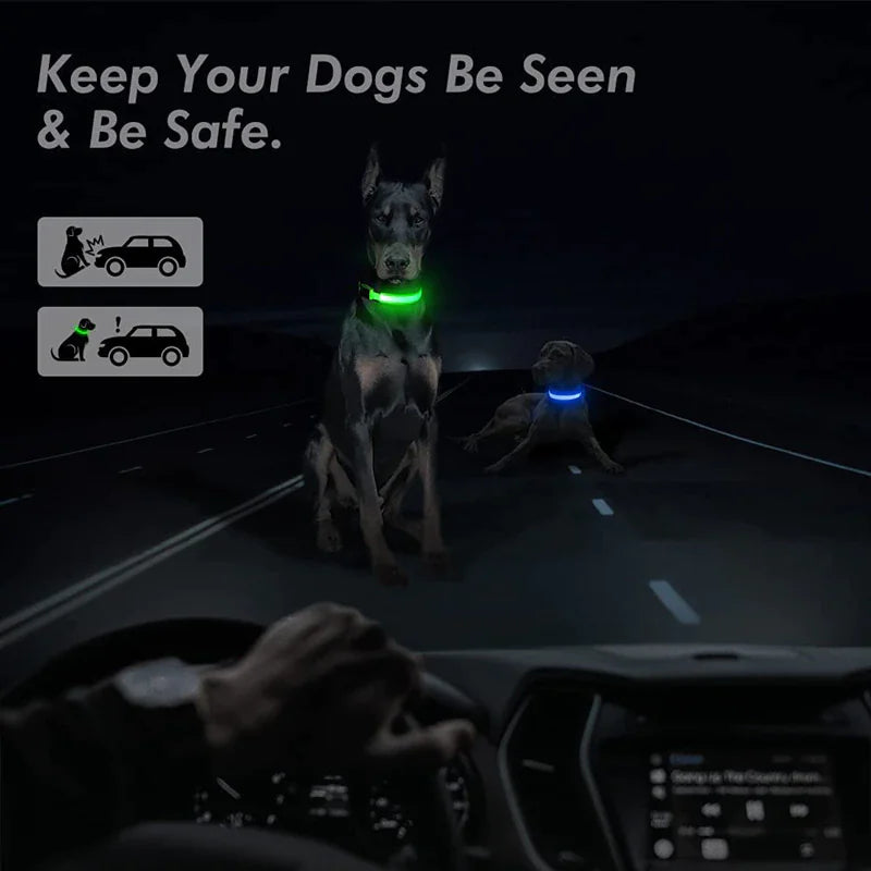 LED light-up dog collar for small and large breeds