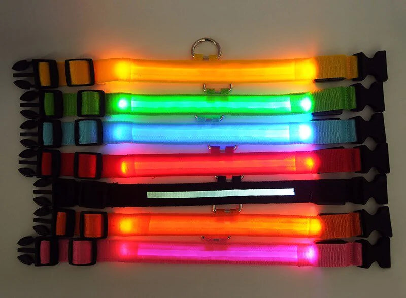 Set of colorful LED collars