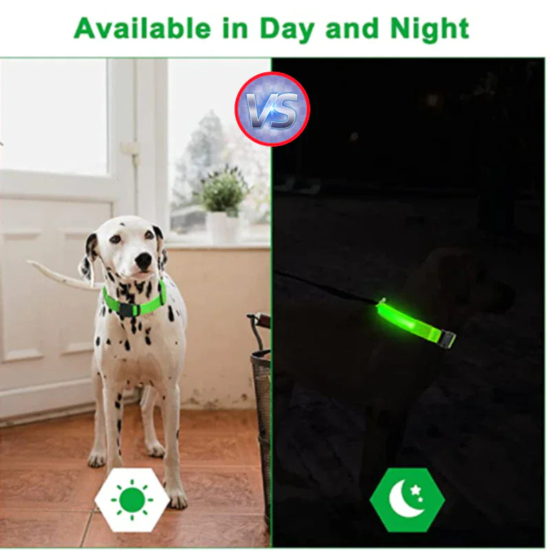 Dog wearing a green collar indoors with a comparison to its glow in the dark version outdoors.