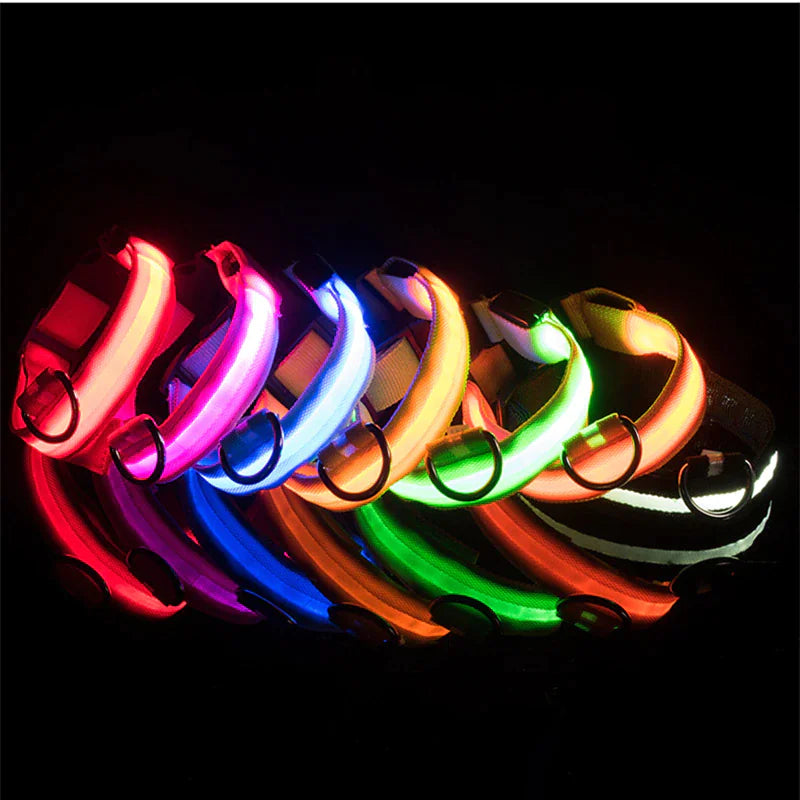 Multi-color LED dog collars for visibility at night