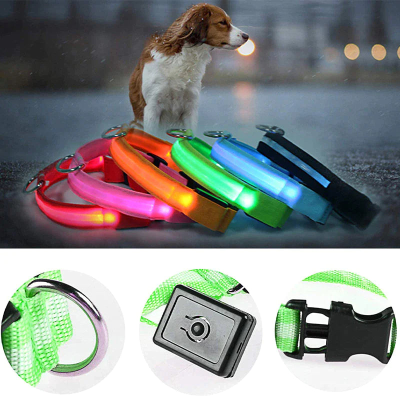 LED Safety Collars
