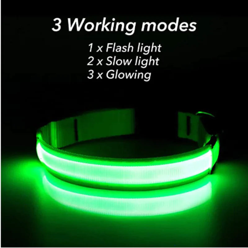 Green LED collar with 3 lighting modes: flash, slow glow, steady
