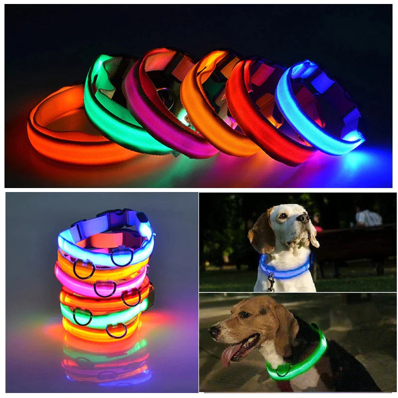Multi LED Color On Dogs