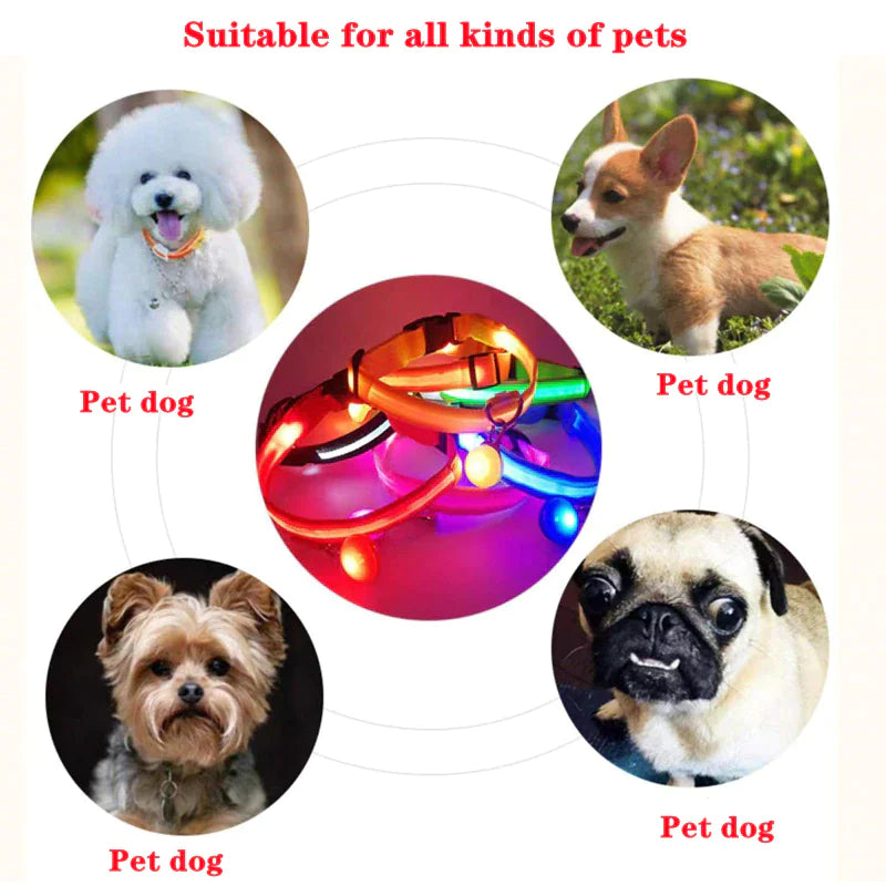 GlowPup LED collar shown on dogs in various sizes