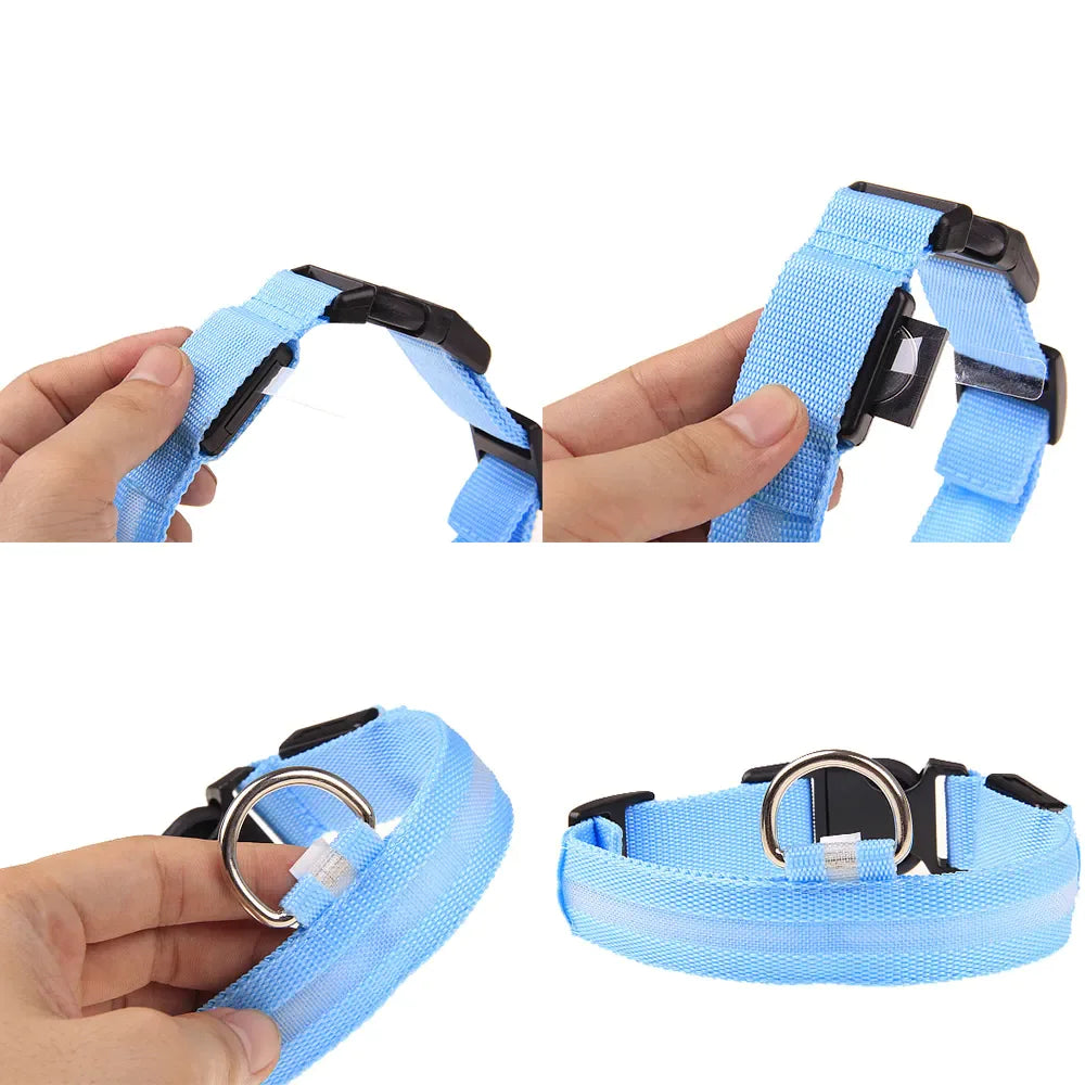 Light blue LED dog collar with black hardware