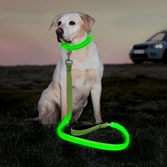 GlowPup™ LED Leash – NEW! Waterproof Safety Leash